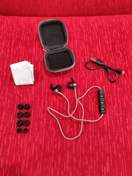 bt250 earbuds