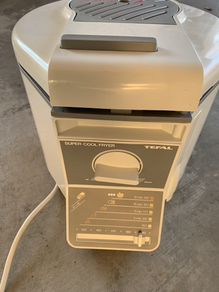 Regal fryer63022180167555111