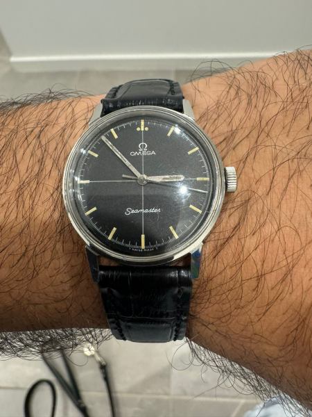 Omega Seamaster Mens Watch Watches in Villawood NSW Gumtree Australia