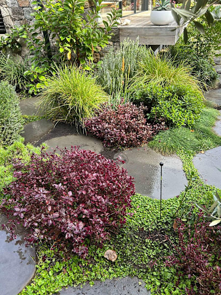 Landscaping & Gardening Services Morley62864726475139114