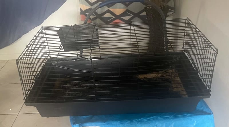 used small animal cages for sale near me