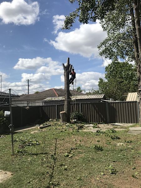 Free quotes62863392710401114