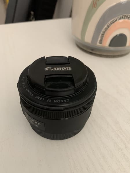 オンラインストア本物 SONY FE 50F1.8 ほぼ未使用 フィルター有 www