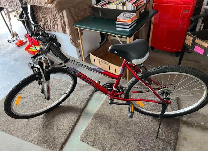 Diamondback Beach Cruiser Costco vlr.eng.br