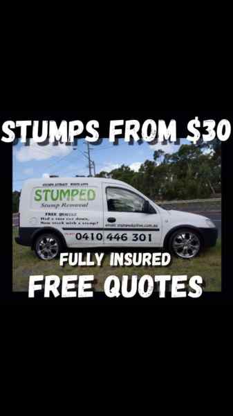 STUMP GRINDING & TREE REMOVAL ALL AREAS FREE QUOTES FULLY INSURED 62863392254211110