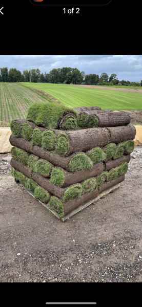 Fresh Turf63439219910402110
