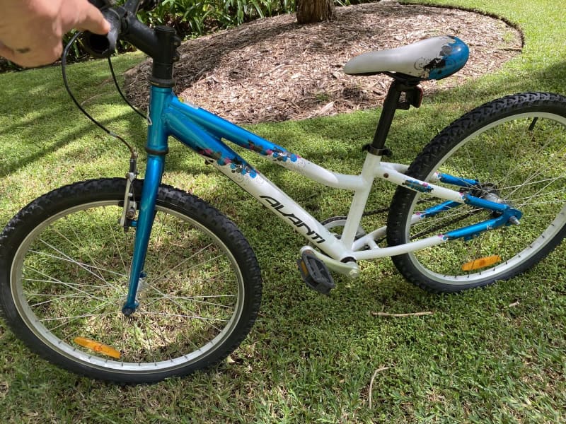 dbx 24 inch bike