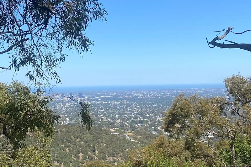 Rare 6,529m² Allotment with Stunning Panoramic Views630064838538271116