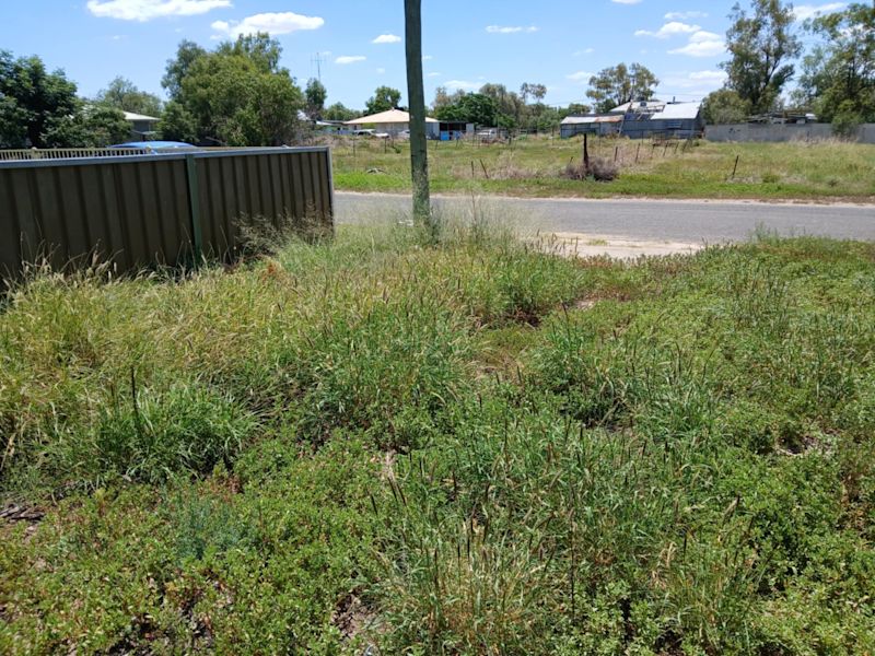 Land for sale regional NSW - Vendor finance available 62882751560066111