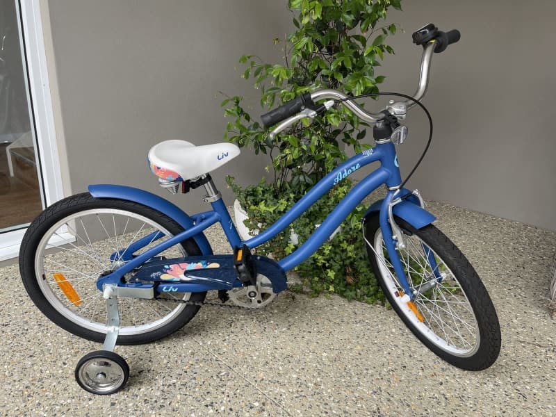 giant adore 20