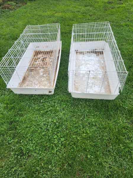 mole valley dog crate