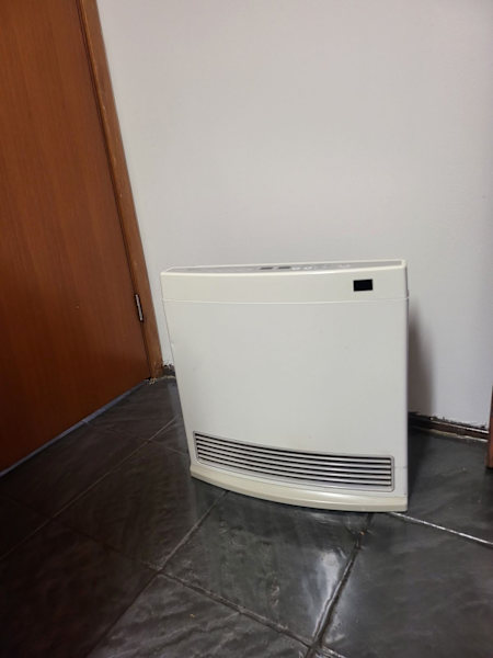 RINNAI DYNAMO 15 MJ NATURAL GAS HEATER 63443837489921110