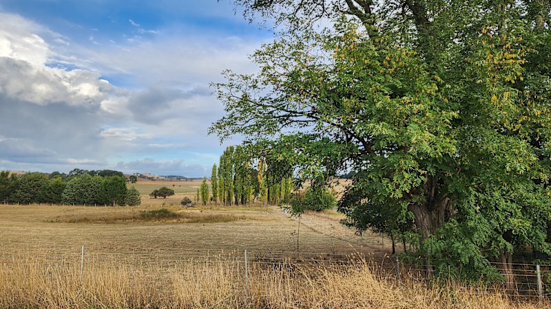 Prime 6.7 Acre Lifestyle Block in Barry634380822236171110