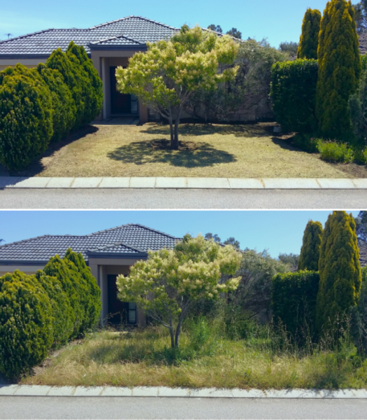 Gardening and Horticulture Service62863396595331112