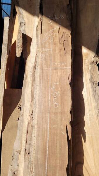 4500mm Mackay Cedar Slab- Undressed63005707718530112