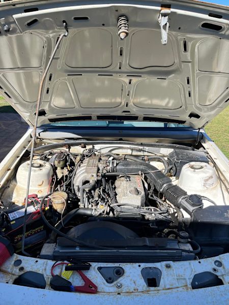 1987 VL holden Berlina  Commodore 62940490793857113