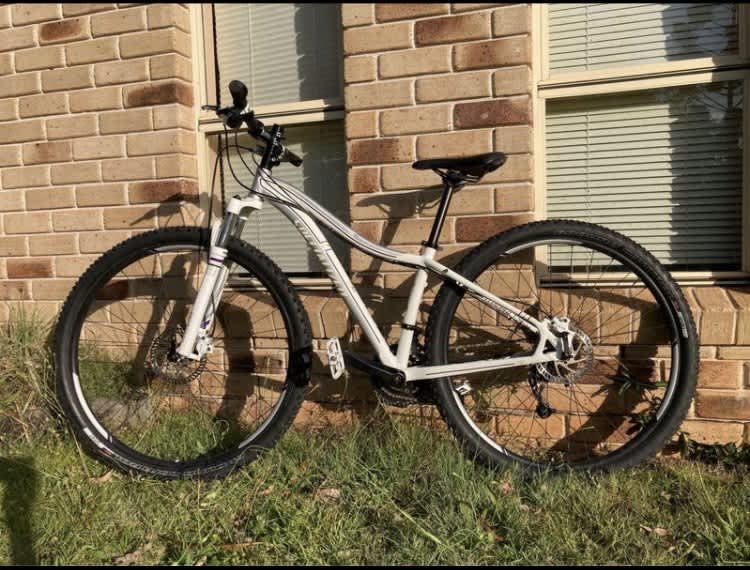 specialized mountain bike gumtree