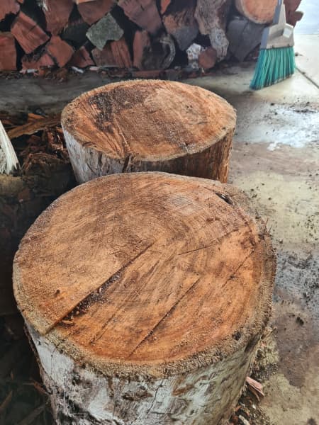 Jarrah Chopping blocks for sale!!63005149194498113