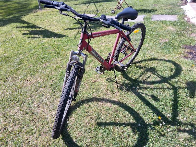 dunlop blackhawk mountain bike