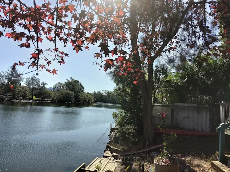 ABSOLUTE RIVERFRONT~ Nth Rivers NSW Residence in URUNGA for Sale ( flood free )62931713321986111