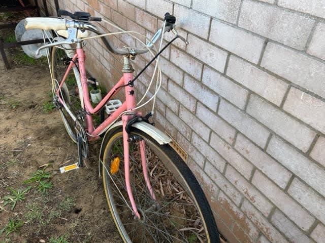 Pink witch sales bike for sale