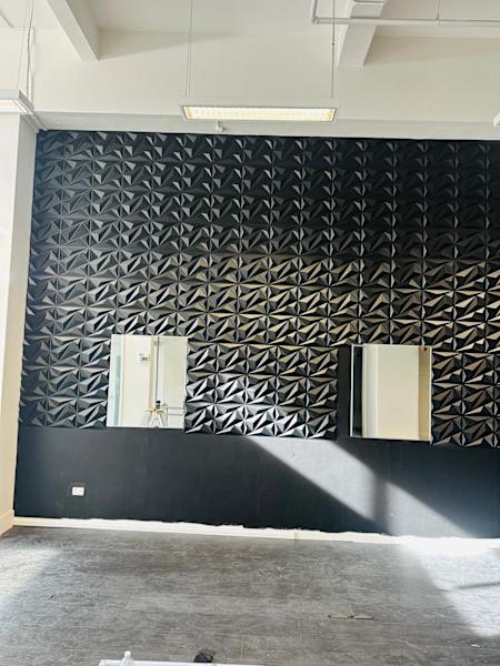 Painting and decorating + plastering628633919171861110