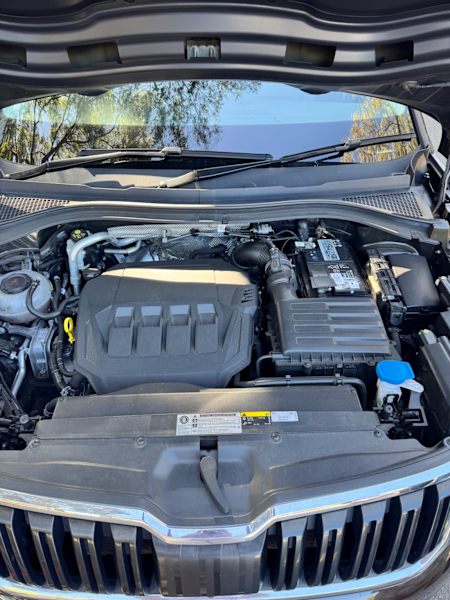 2020 SKODA KODIAQ 132 TSI (4x4) 7 SP AUTO DIRECT SHIFT 4D WAGON62932715764994114