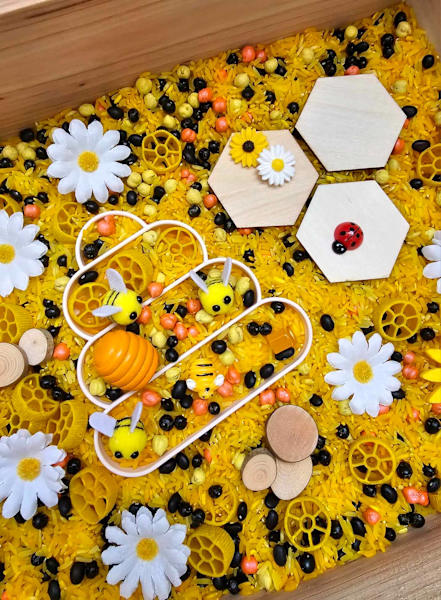 Ready-to-Go Sensory Play Business63007320631041111