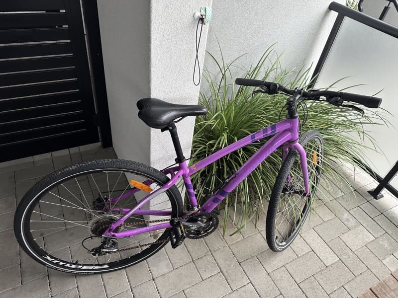 ladies bike xs
