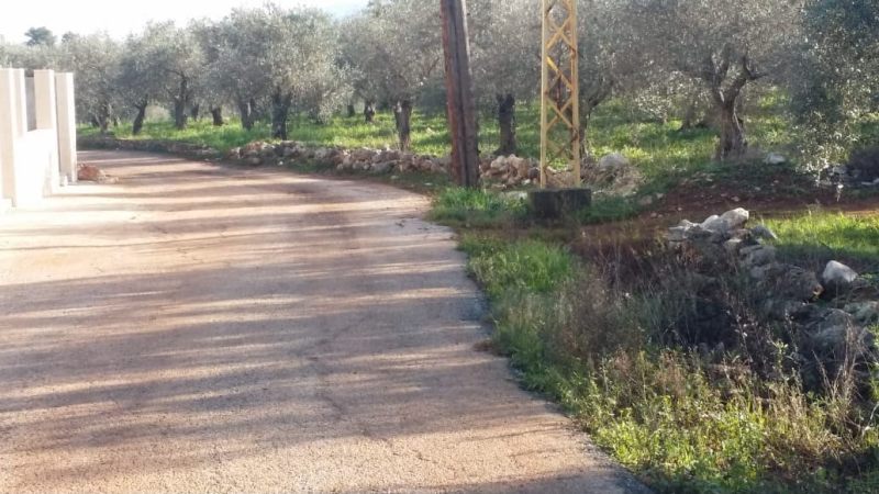 Land for sale in North lebanon al koura628827795475211113