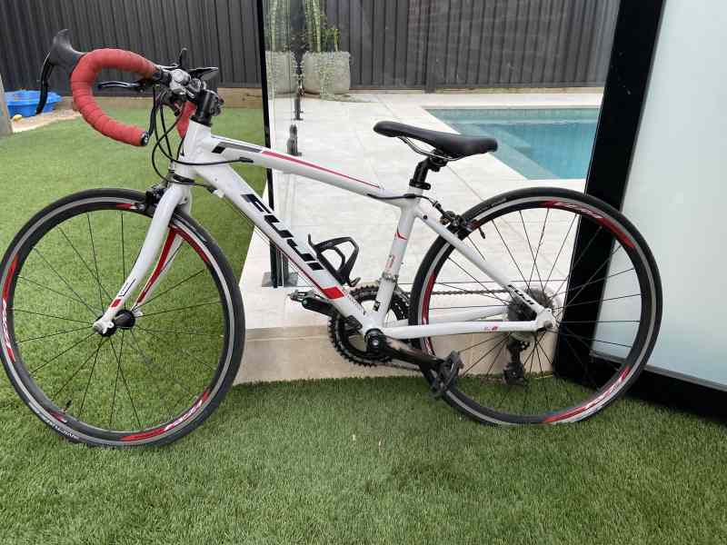 fuji ace road bike price