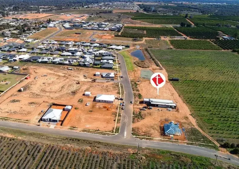 LAND IN THRIVING GOL GOL63438463801347111