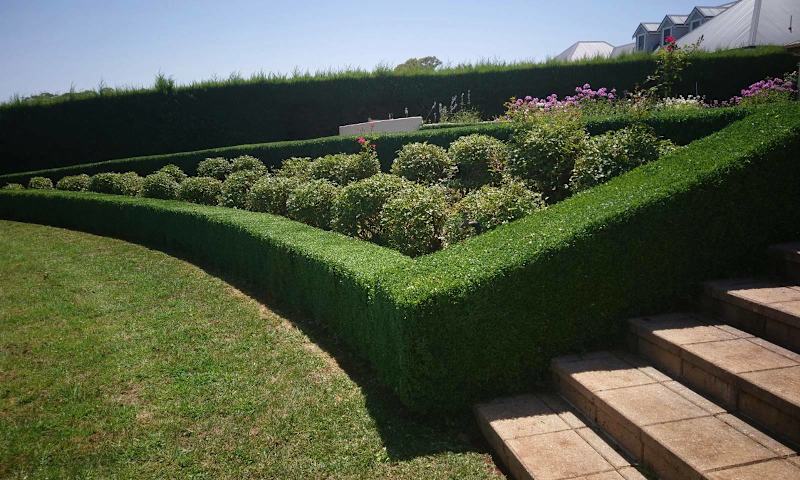 D&R Gardening and Property Management62863392197123112