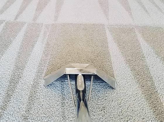 Shellharbour Carpet Cleaning | $99 For 3 Rooms62863842654339112