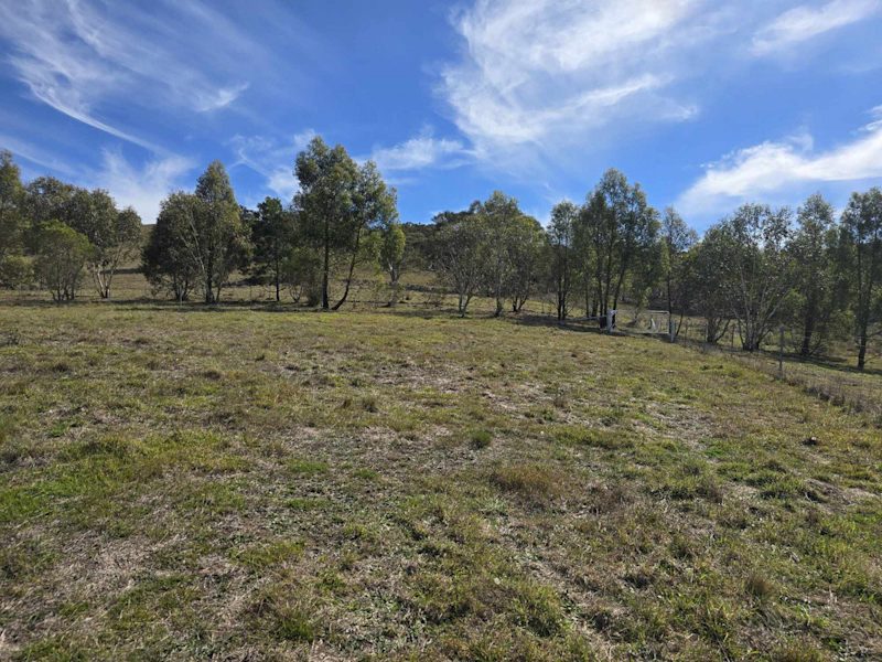 69 Mulwaree Street Tarago - Arguably the Best in the Subdivision62882775902083114