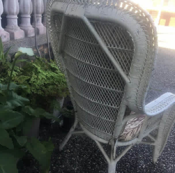 White CANE CHAIR PEACOCK STYLE large comfy attractive 111cm x72.5cm62866848928513112
