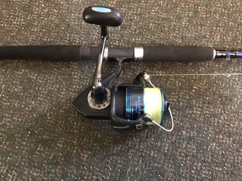 Daiwa Fishing rod, Fishing, Gumtree Australia Ipswich City - Ripley