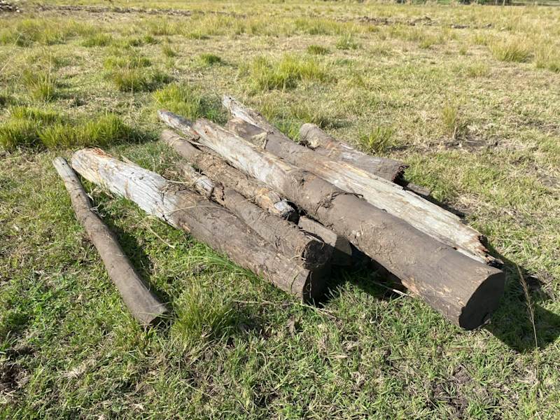 Timber fence posts and strainer posts.630119908144671127