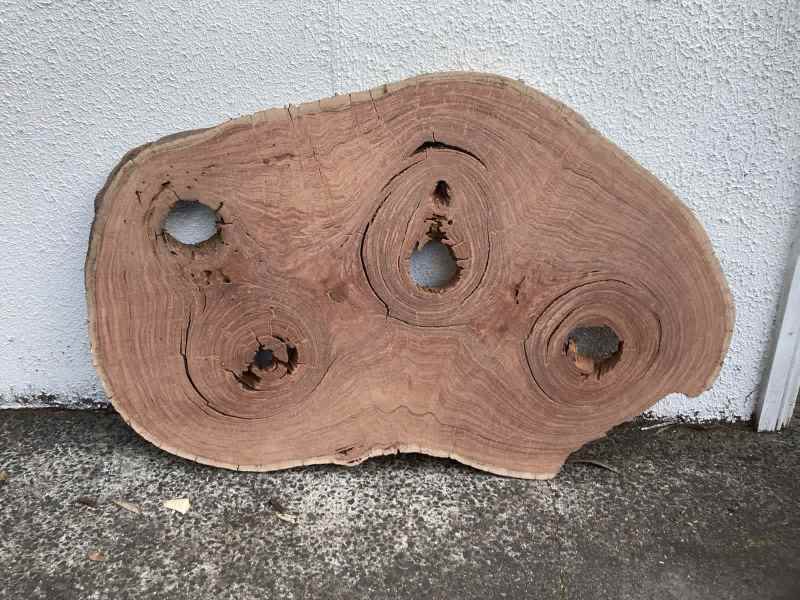 Red gum hardwood natural live edge timber slab63439248680450110