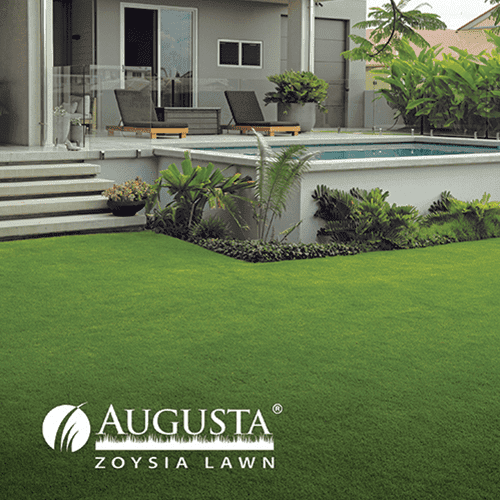 Zoysia, Buffalo, Kikuyu, Couch Turf Available!!! $9/m263012913518082111