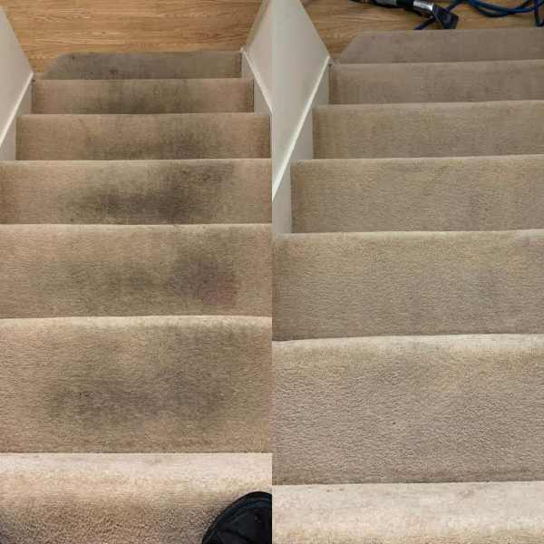 Expert Carpet Cleaning Wollongong62863843550210114