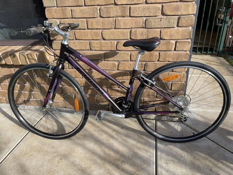 schwinn super sport 3 women's