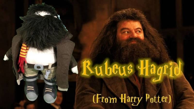 hagrid youre a wizard harry