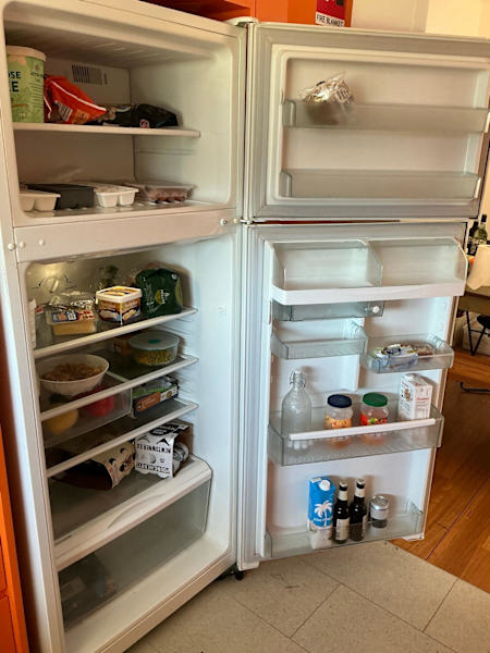 Top Mount Westinghouse Fridge63021728881923111