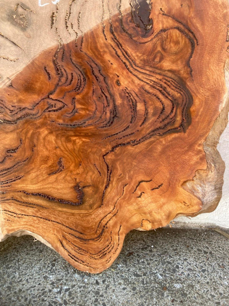 A couple more cabbage gum burl slabs  Amazing timber 👍 Well seasoned 63010590152962111