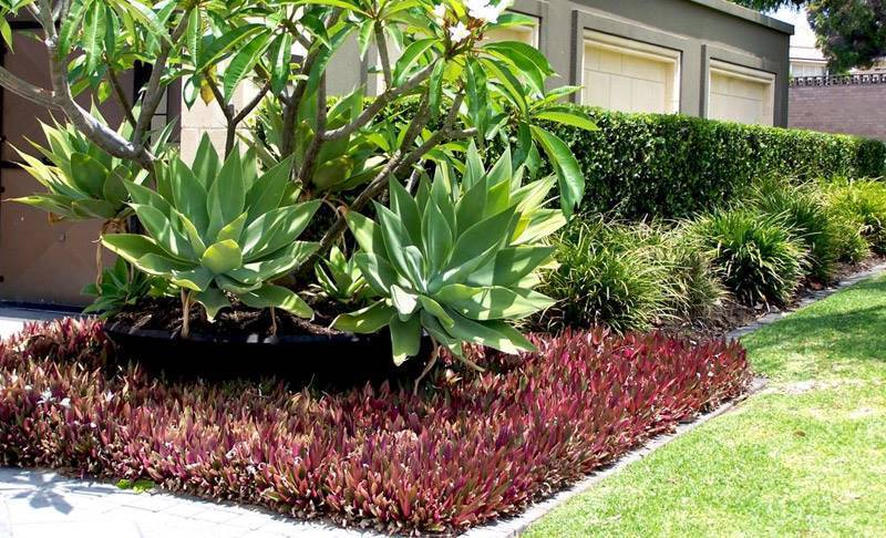 Backyard Specialists62863396601601111