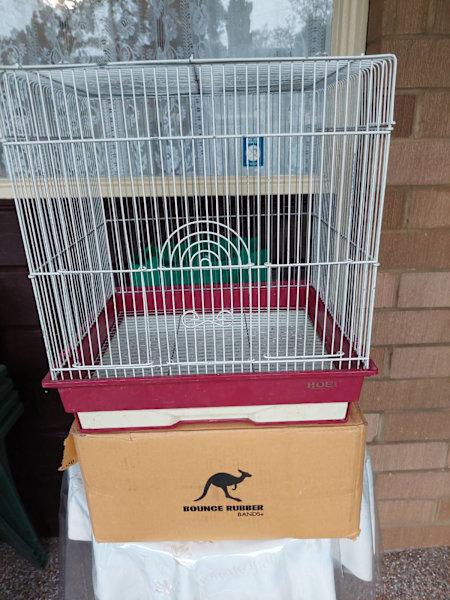 goldfinch cages for sale
