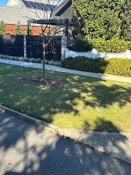 158 Lawnmowing clients63007361397250113
