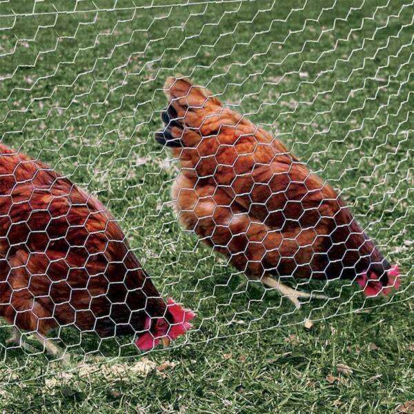0.9m x 50m x 0.6mm Chicken hexagonal wire netting(Hole: 23mm x 13mm)63007429897729111