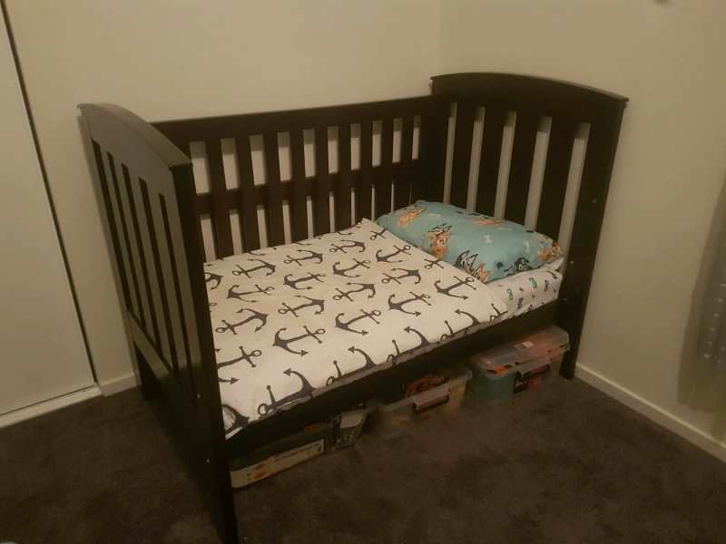 tasman eco cot gumtree